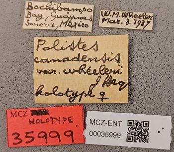 Media type: image;   Entomology 35999 Aspect: labels